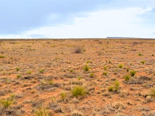 Peaceful Escape Near Conchas : Conchas Dam : San Miguel County : New Mexico
