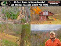 11.5 Acres in Swain County : Bryson City : Swain County : North Carolina