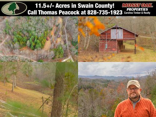 11.5 Acres in Swain County : Bryson City : Swain County : North Carolina