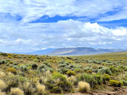 Camp for Rugged Off-Roaders & 4X4 : San Luis : Costilla County : Colorado