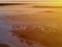 2,511 Acres in Hancock County Whis : Perkinston : Hancock County : Mississippi