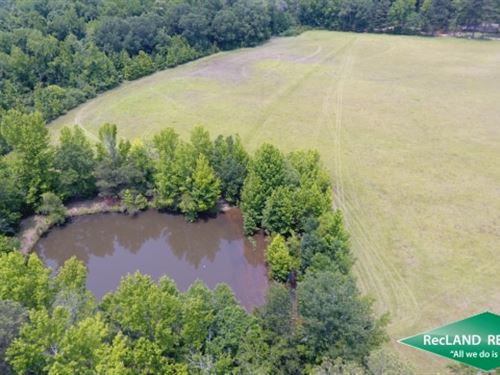 20 Ac Pasture for Home Site : Hamburg : Ashley County : Arkansas