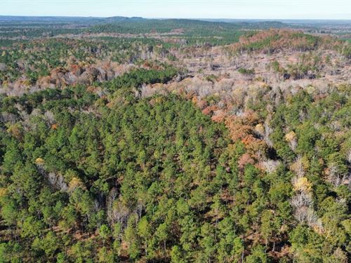 21 Acres Lee County, AL : Salem : Fayette County : Alabama
