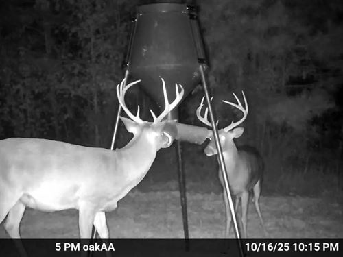 49.5 Acres in Attala County, MS : Sallis : Attala County : Mississippi