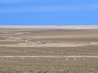 Lincoln County Organic Farm : Genoa : Lincoln County : Colorado