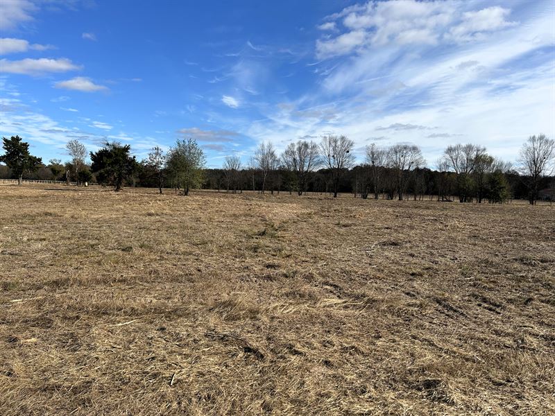 Private Unrestricted Land Near Ptx : Arthur City : Lamar County : Texas