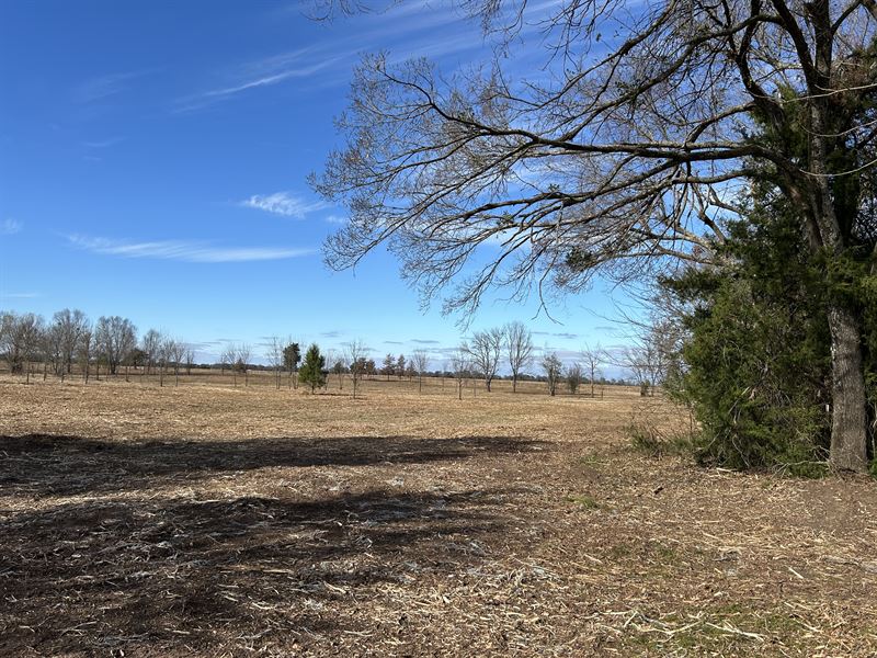 Private Unrestricted Land Near Ptx : Arthur City : Lamar County : Texas