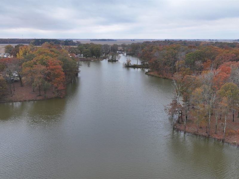 Des Arc Farm and Lake : Des Arc : Prairie County : Arkansas