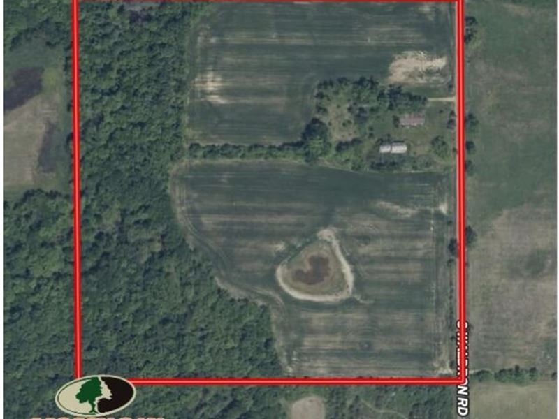 40 Acre Farm in Hillsdale Count : Pittsford : Hillsdale County : Michigan