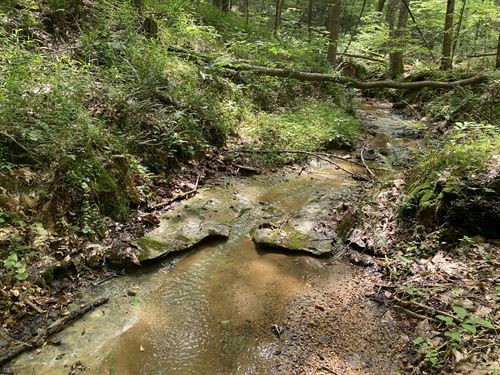 Wooded Land with Creek for Sale : Savannah : Hardin County : Tennessee