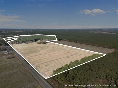 93-Ac Farm & Timber Tract : Blounts Creek : Beaufort County : North Carolina
