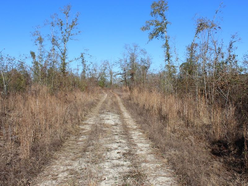 Large Homesite and Recreational : Laurens : Laurens County : Georgia