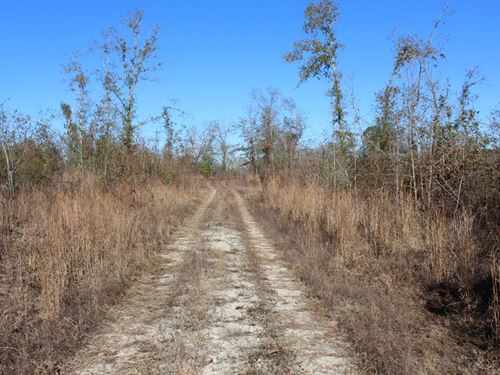 Large Homesite and Recreational : Laurens : Georgia