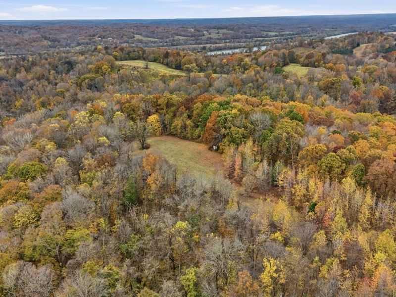 Vaughn Ridge Farm, Montgomery Co : Indian Mound : Montgomery County : Tennessee