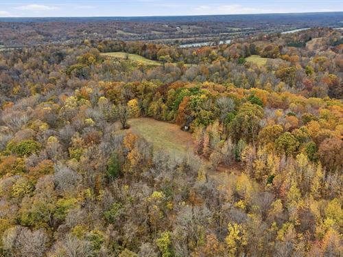 Vaughn Ridge Farm, Montgomery Co : Indian Mound : Montgomery County : Tennessee