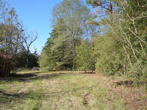18 Acres of Ranchland in Houston Co : Grapeland : Houston County : Texas