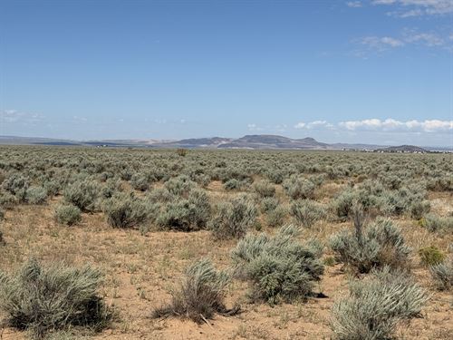 Your 5 Acre Escape Awaits : Los Lunas : Valencia County : New Mexico