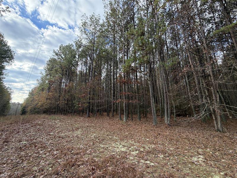 6.55+/- Acres A-1 Kingston, Bartow : Kingston : Bartow County : Georgia