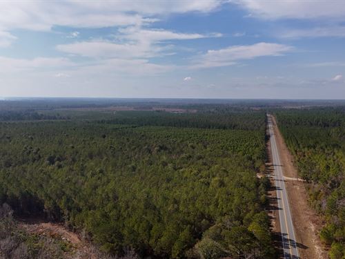 Bells Ferry Road Tract : Lumber City : Telfair County : Georgia