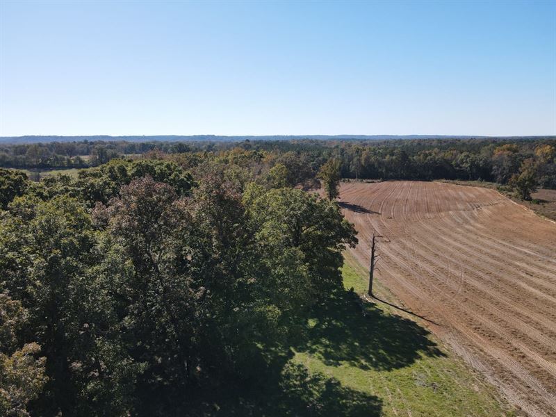 G6 Farms 133 Acres : Troy : Pike County : Alabama