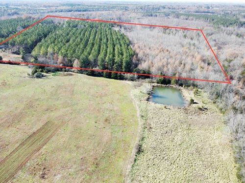 Lawrence County 35 : Town Creek : Lawrence County : Alabama