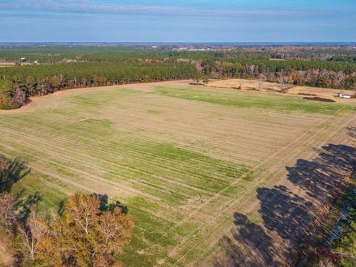 Prime 20-/+ Acre Farmland For Sale : Teachey : Duplin County : North Carolina