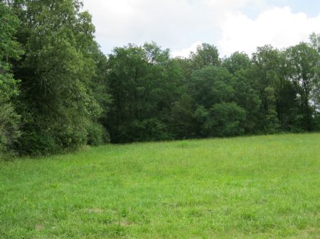 Spectacular Value : Bear Creek : Chatham County : North Carolina