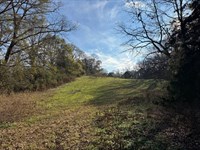 34 Acres, Madison County, Geor : Danielsville : Madison County : Georgia