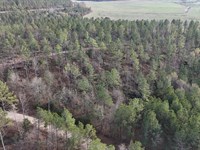 Gleneagles Lot 9 : Piedmont : Cherokee County : Alabama