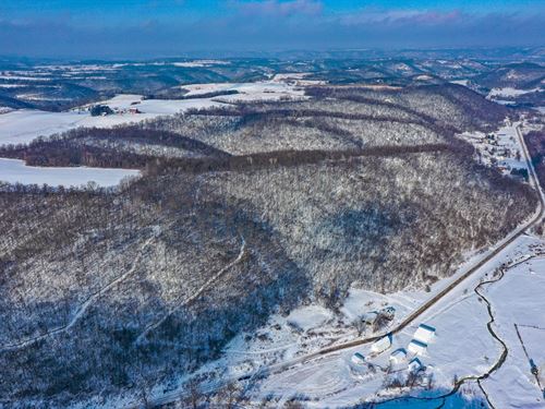 57 Acres Winona County, MN : Winona : Minnesota