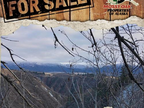 Remote 5 Acres : Homer : Kenai Peninsula Borough : Alaska