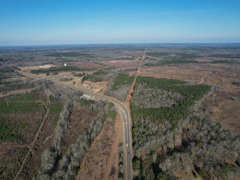 41 Acres in Holmes County, MS : Durant : Holmes County : Mississippi