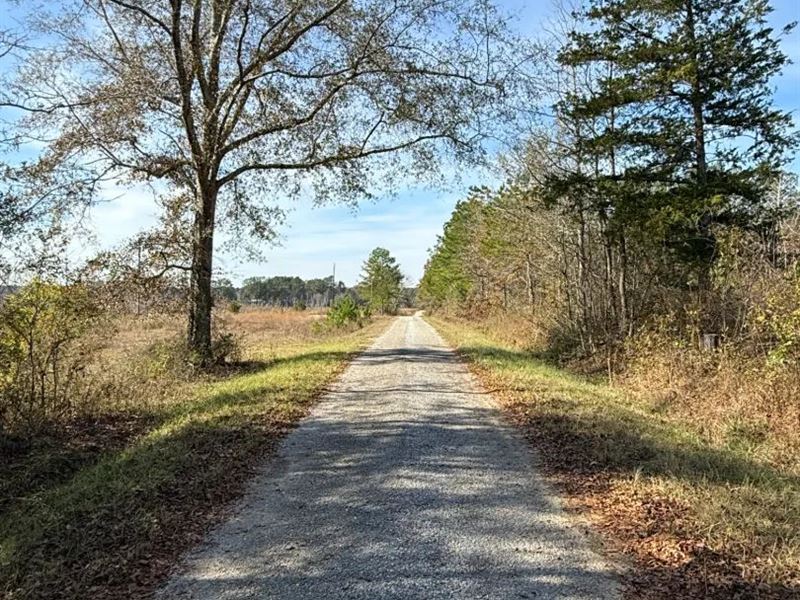 16 Acres in Kemper County, MS : Preston : Kemper County : Mississippi