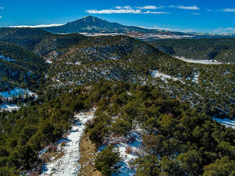 41 Blackhawk Ranch : Walsenburg : Huerfano County : Colorado