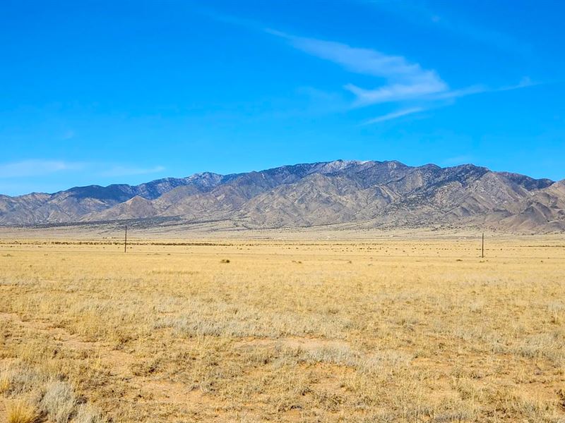 Build or Invest, 5 Acres in NM : Belen : Valencia County : New Mexico