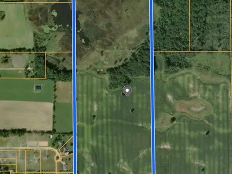 116+ Acres Farm 1010 Daley Rd, Lape : Lapeer : Lapeer County : Michigan