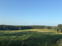 Laclede Co. Hobby Farm : Richland : Laclede County : Missouri