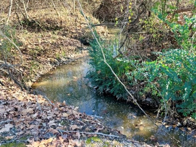 Horn Lake Road : Memphis : Shelby County : Tennessee
