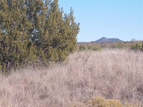 40 Acre Recreational Getaway Spot : Jayton : Kent County : Texas