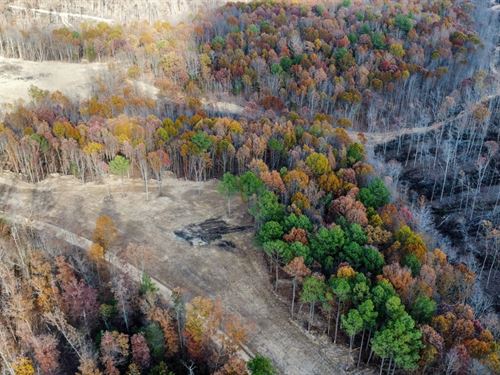 Firetower Road Homesite : Centerville : Hickman County : Tennessee