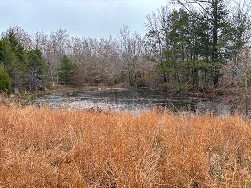 North Fork Outpost : Tecumseh : Ozark County : Missouri