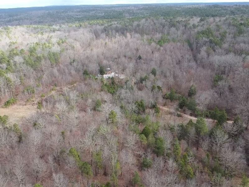 20 AC for Sale in Shannon Co : Winona : Shannon County : Missouri