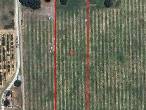 Mammoth Grove Road Lot 2 : Lake Wales : Polk County : Florida