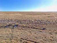 Serene Lot Near Rio Grande River : San Luis : Costilla County : Colorado