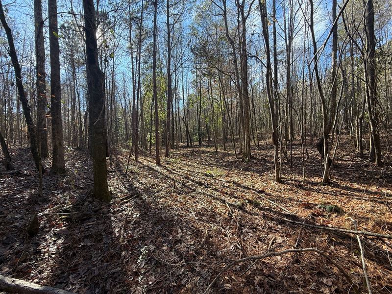 42 Ac in Kellyton : Kellyton : Coosa County : Alabama