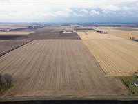 Champaign Co, IL Farmland Auction : Champaign : Illinois