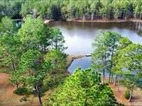 3947 Purvis Columbia Rd, Lumberton : Lumberton : Lamar County : Mississippi