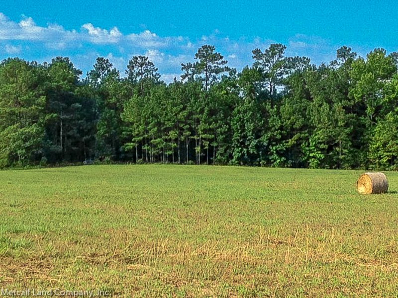 80 Acre Recreational Tract : Blackstock : Chester County : South Carolina