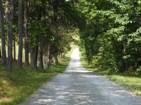 Historic Round Top Farm : Tazewell : Claiborne County : Tennessee