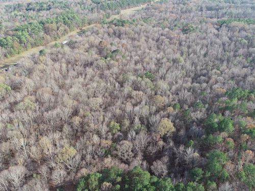 63 Acres in Grenada County, MS : Grenada : Mississippi